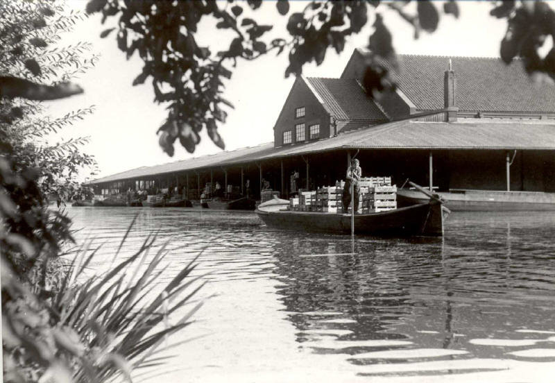 Veiling Naaldwijk — Naaldwijk