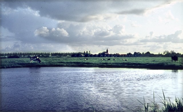 Groenedijk — Nieuwerkerk aan den IJssel