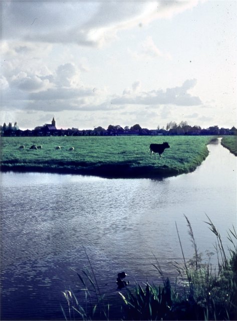 Groenedijk — Nieuwerkerk aan den IJssel