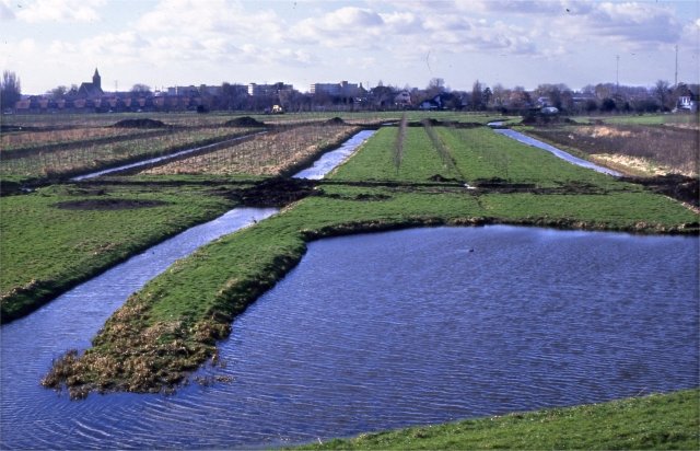 Groenedijk — Nieuwerkerk aan den IJssel