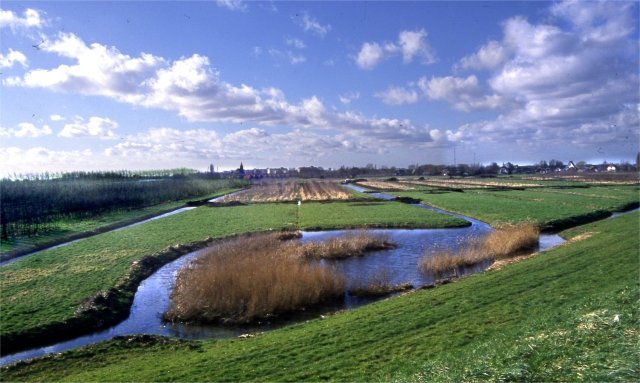 Groenedijk — Nieuwerkerk aan den IJssel