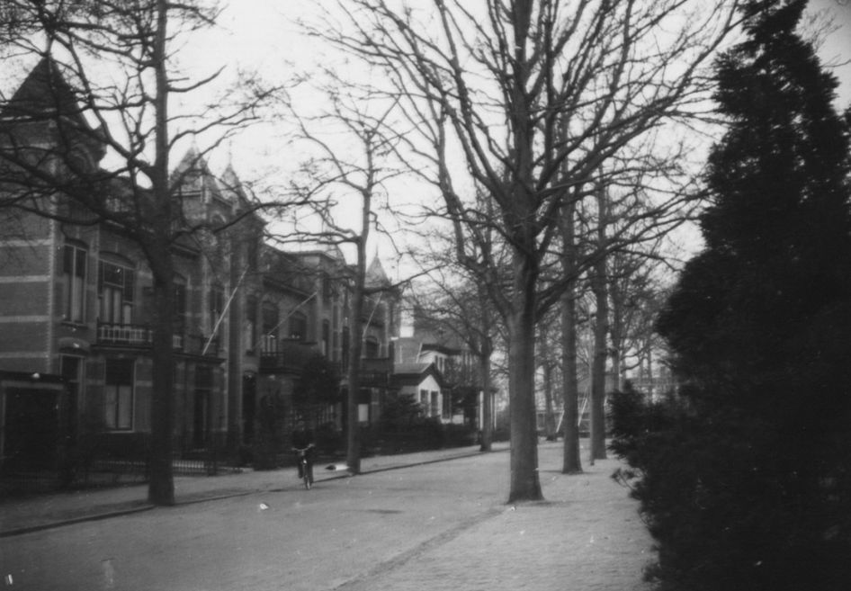 Wilhelminapark — Oegstgeest