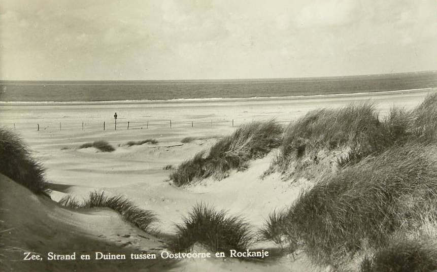 Strand — Oostvoorne