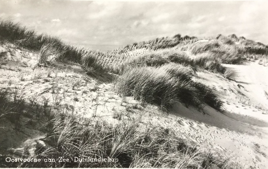Strand — Oostvoorne