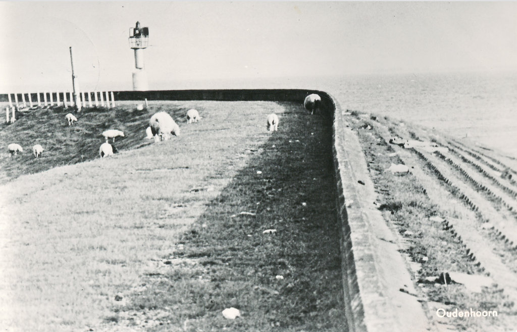 Zeedijk — Oudenhoorn