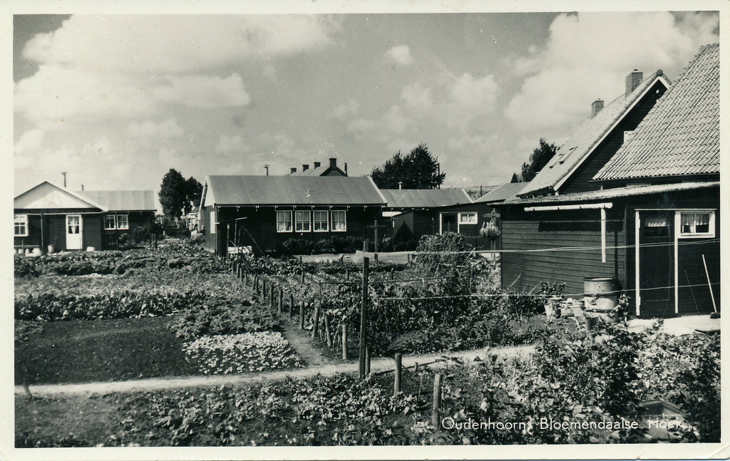 Bloemendaalse Hoek — Oudenhoorn