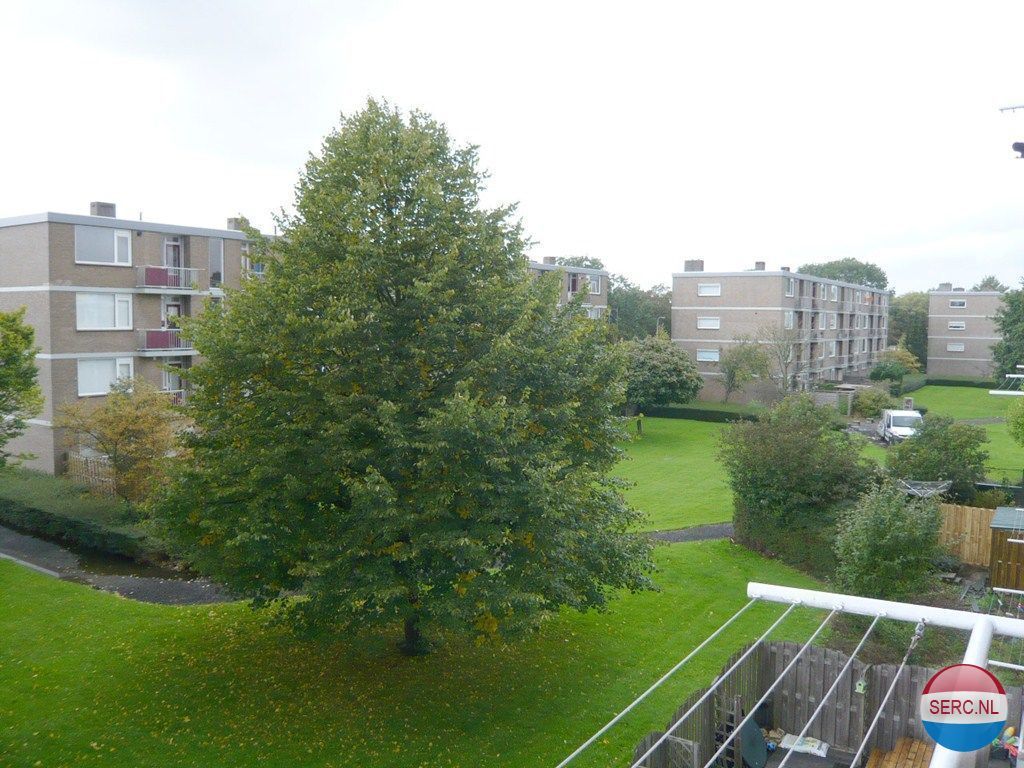 Burgemeester Crézeestraat — Ridderkerk