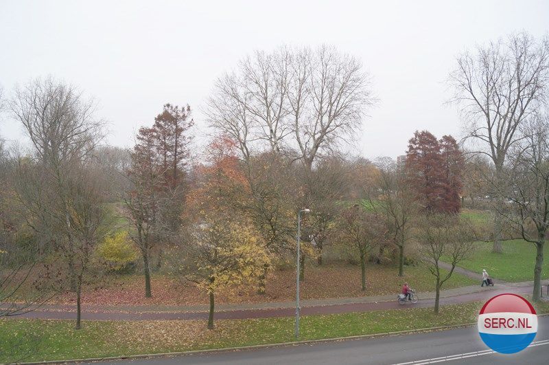 Boksdoornpark — Ridderkerk