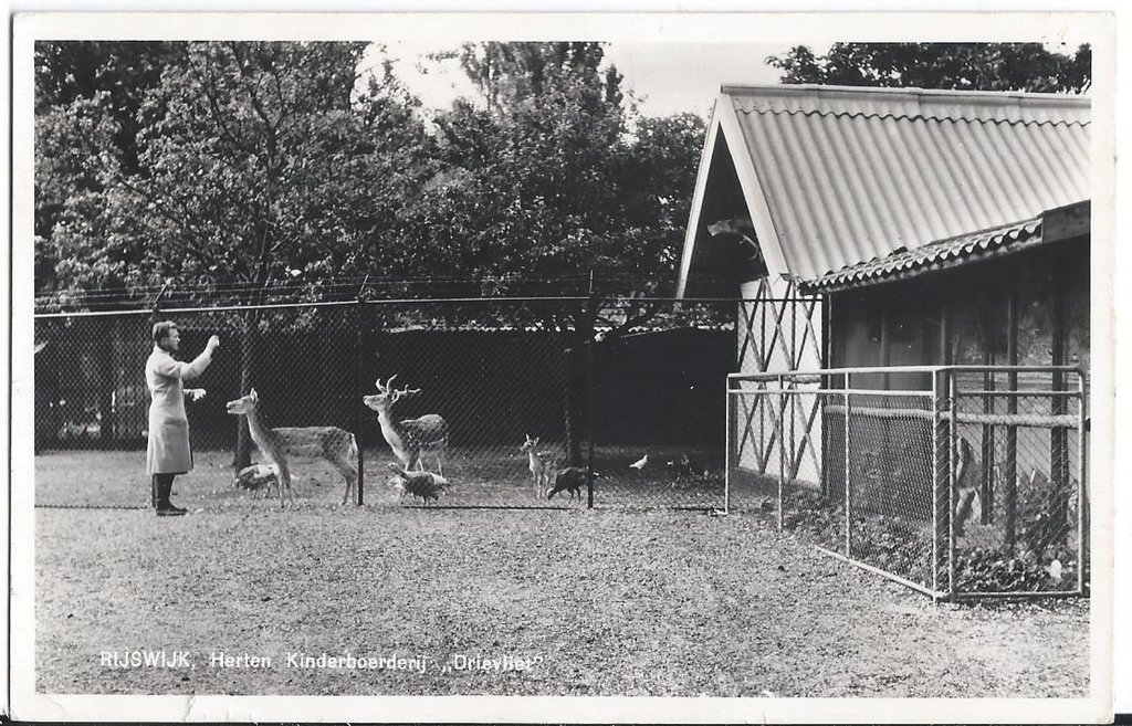 Drievliet — Rijswijk