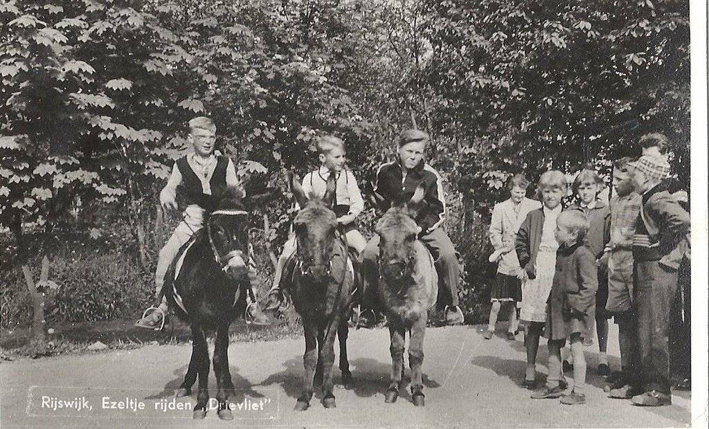 Drievliet — Rijswijk