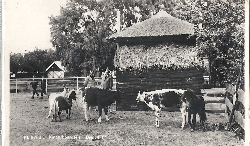 Drievliet — Rijswijk