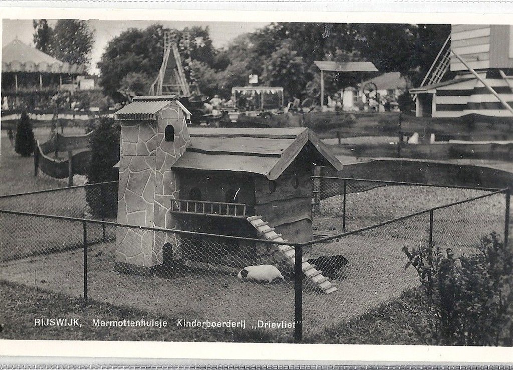 Drievliet — Rijswijk