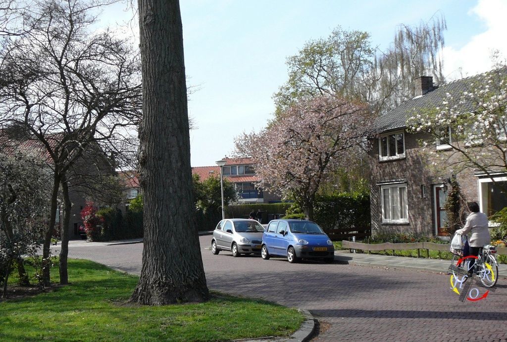 Bernhardstraat — Rozenburg