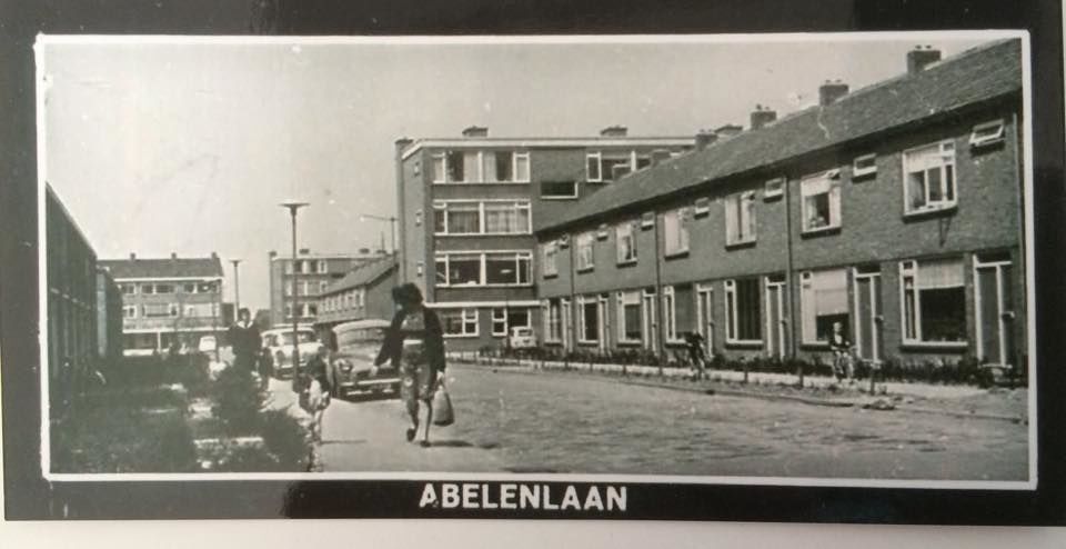 Abelenlaan — Rozenburg