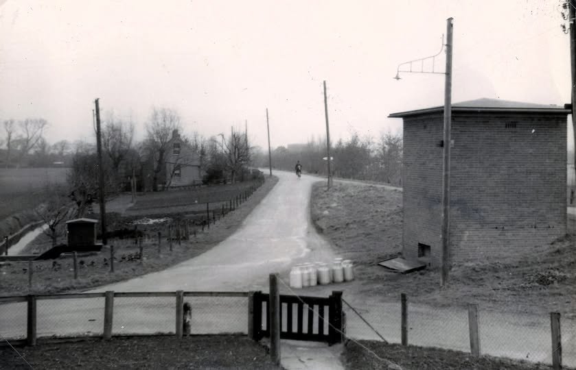 Bomendijk — Rozenburg