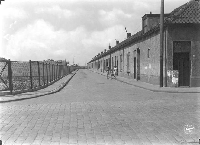 Beukenlaan — 's-Gravenzande