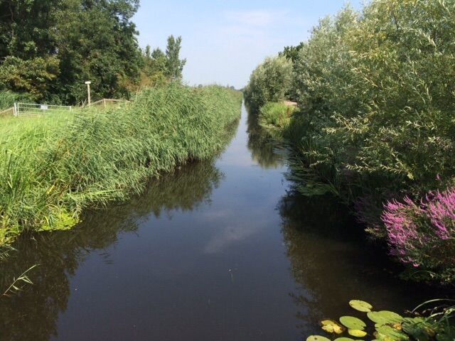 Voordijk — Schelluinen