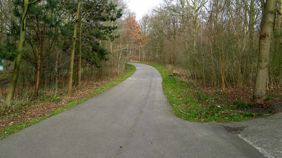 Acacialaantje — Scheveningen