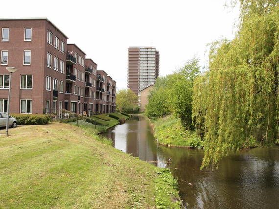 Bospad — Schiedam