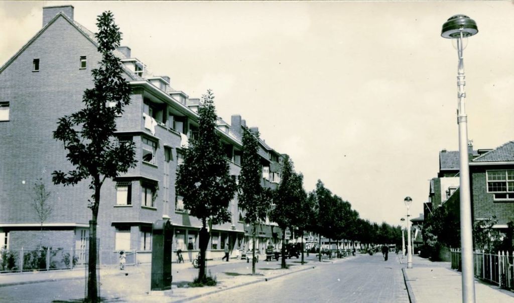 Bosboomlaan — Schiedam