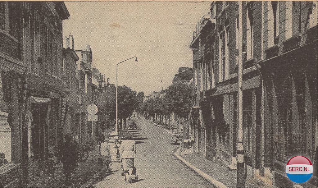 Broersveld — Schiedam