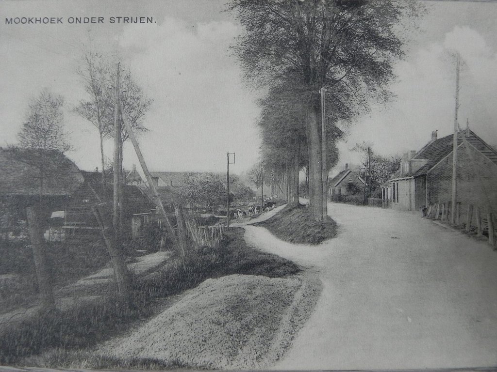 Mookhoek — Strijen
