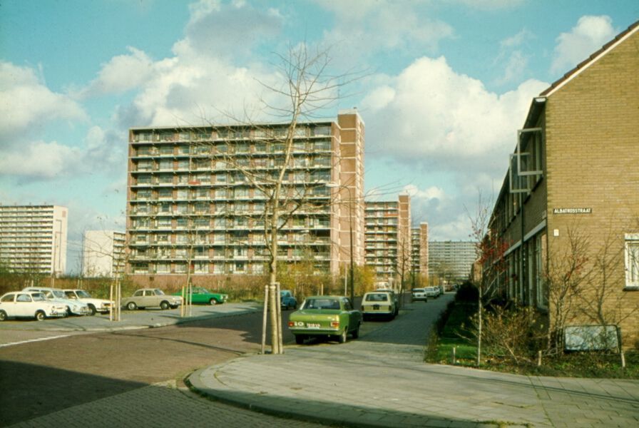 Aalscholverlaan — Vlaardingen