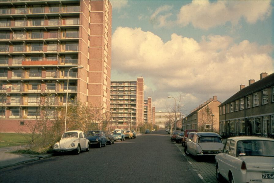 Aalscholverlaan — Vlaardingen