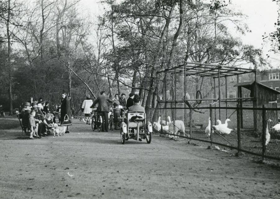 't Hof — Vlaardingen