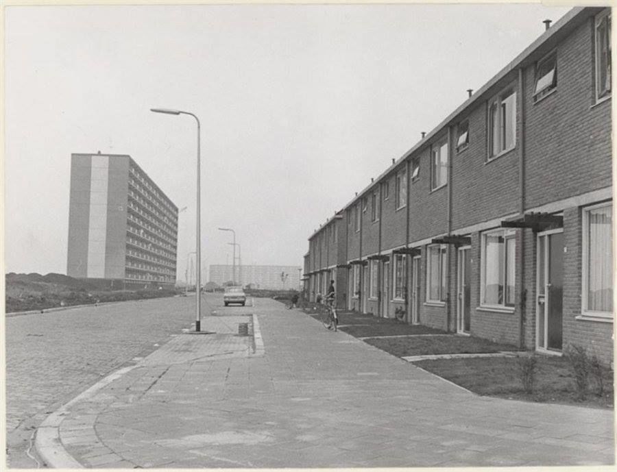 Aalscholverlaan — Vlaardingen