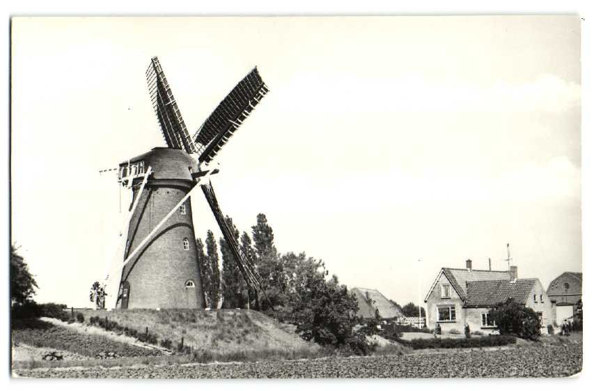 Molens — Zuid Beijerland