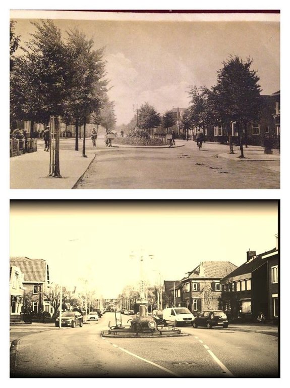 Bruïnelaan — Zwijndrecht
